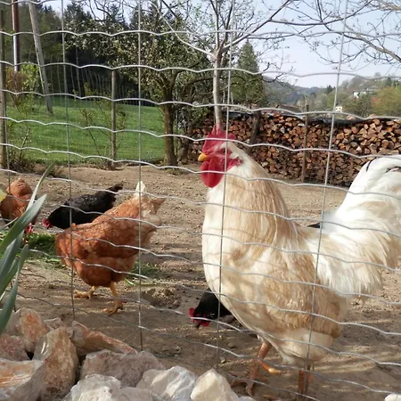 Gaestehaus Waltraud Stelzl Bed & Breakfast *