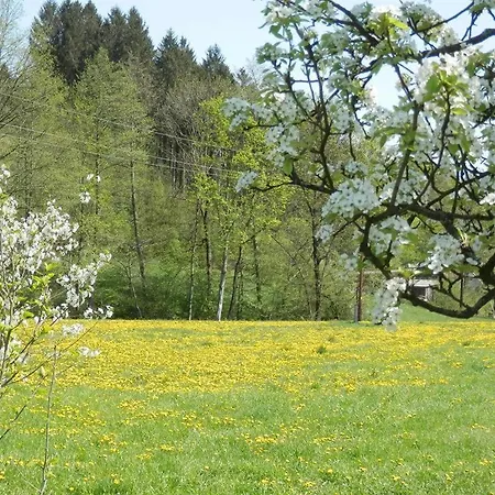 Gaestehaus Waltraud Stelzl Bed & Breakfast Arnfels