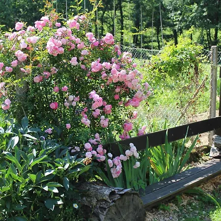 Gaestehaus Waltraud Stelzl Arnfels