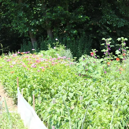 Gaestehaus Waltraud Stelzl * Arnfels