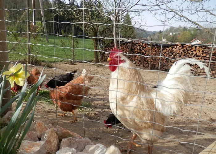 Gaestehaus Waltraud Stelzl Bed & Breakfast *