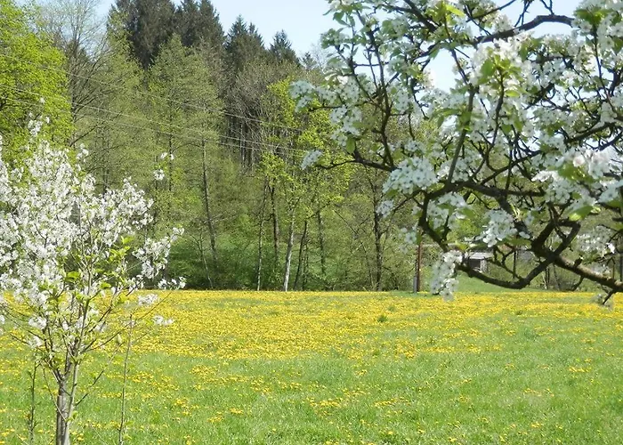 Gaestehaus Waltraud Stelzl Bed & Breakfast Arnfels