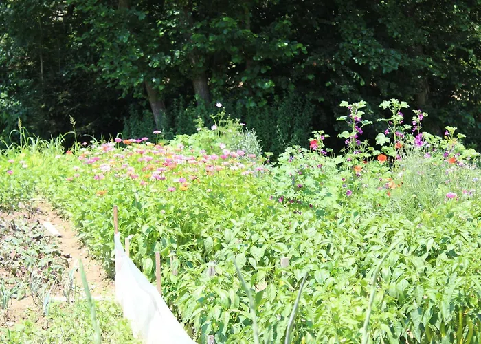 Gaestehaus Waltraud Stelzl * Arnfels