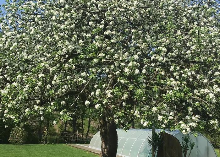 Gaestehaus Waltraud Stelzl * Arnfels